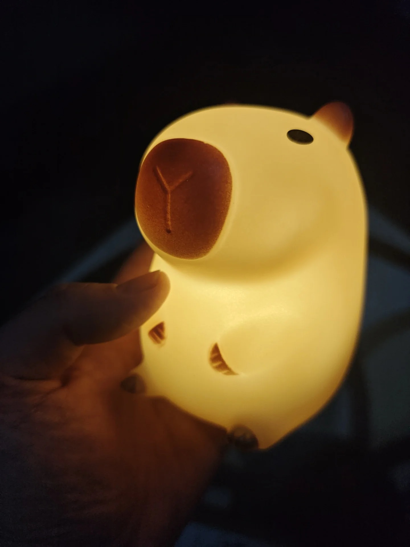 Lampu Tidur Kapibara Lucu Kart - Decor Lighting Sales ulasan dan harga